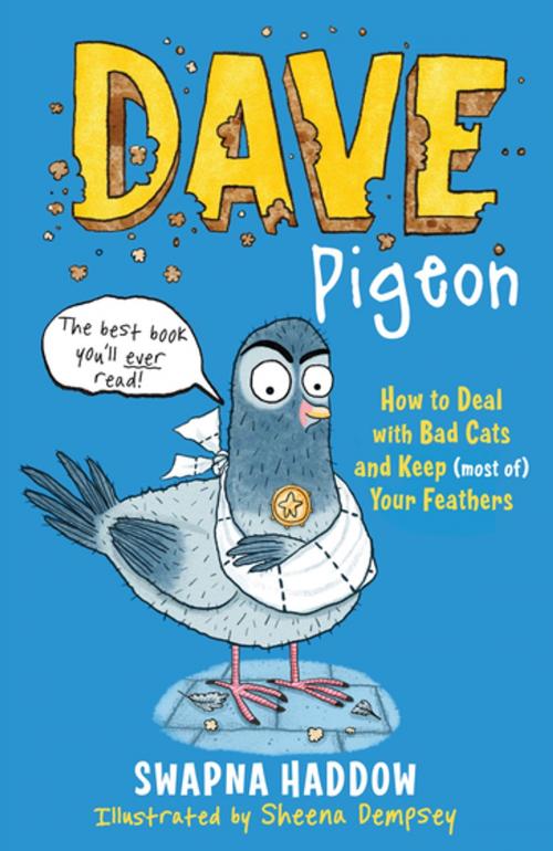 Cover of the book Dave Pigeon by Swapna Haddow, Faber & Faber