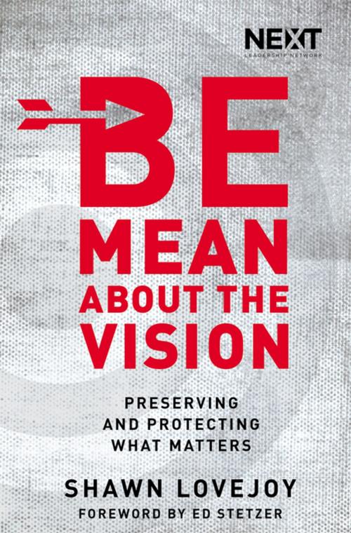 Cover of the book Be Mean About the Vision by Shawn Lovejoy, Thomas Nelson