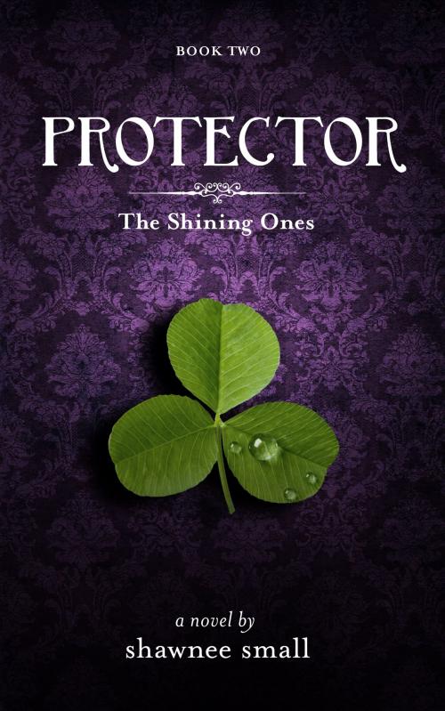 Cover of the book Protector by Shawnee Small, The Small Book Press