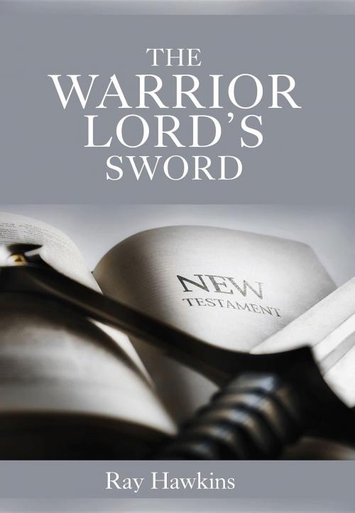 Cover of the book The Warrior Lord's Sword by Ray Neil Hawkins, Ray Hawkins