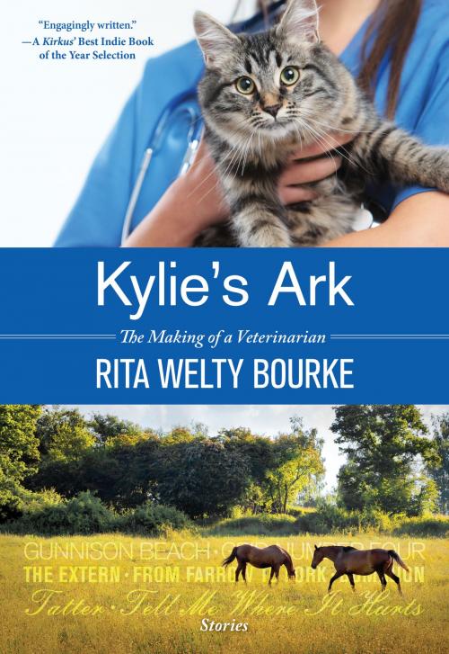 Cover of the book Kylie's Ark by Rita Welty Bourke, Lansinger Press