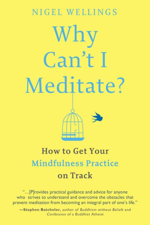 Cover of the book Why Can't I Meditate? by Nigel Wellings, Penguin Publishing Group