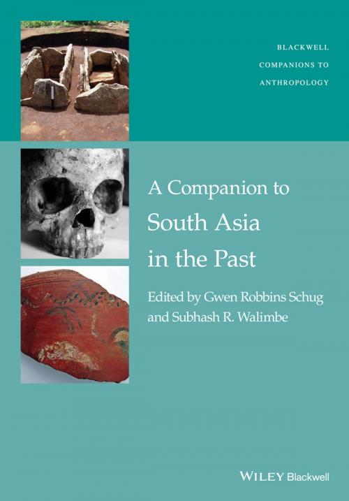 Cover of the book A Companion to South Asia in the Past by Gwen Robbins Schug, Subhash R. Walimbe, Wiley