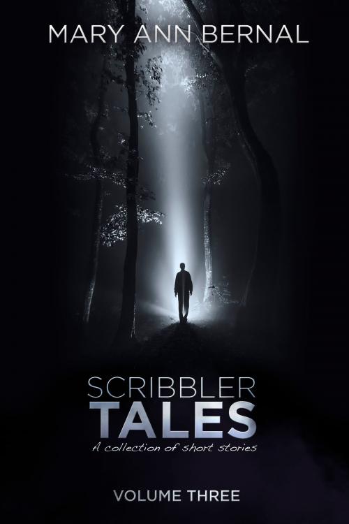 Cover of the book Scribbler Tales Volume Three by Mary Ann Bernal, Mary Ann Bernal