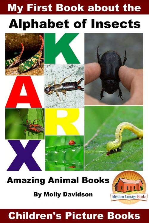 Cover of the book My First Book about the Alphabet of Insects: Amazing Animal Books - Children's Picture Books by Molly Davidson, Mendon Cottage Books