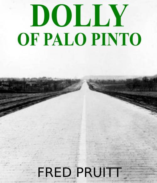 Cover of the book Dolly of Palo Pinto by Fred Pruitt, Fred Pruitt