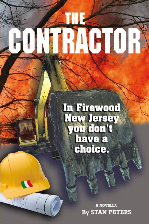 Cover of the book The Contractor by Stan Peters, Stan Peters