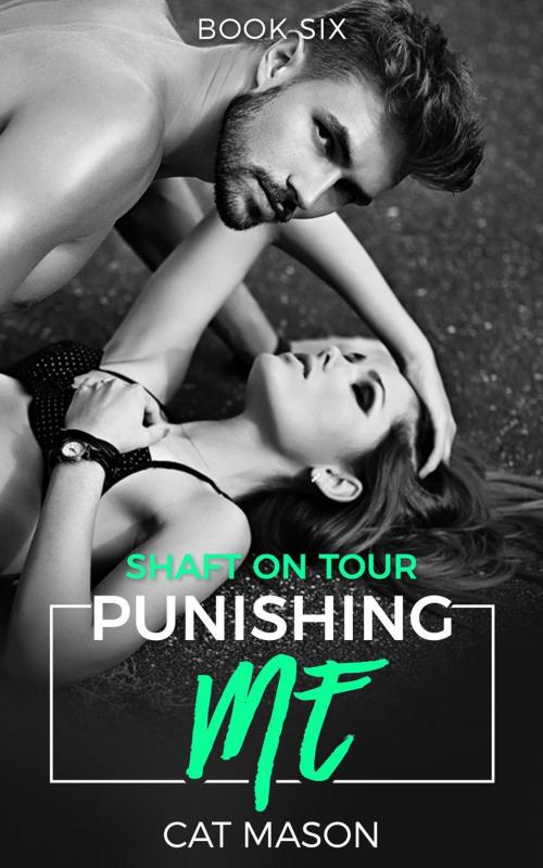 Cover of the book Punishing Me by Cat Mason, Cat Mason Books