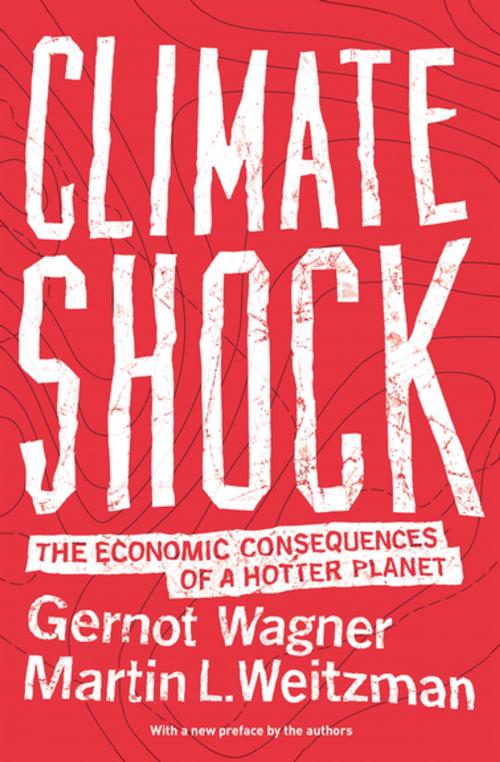 Cover of the book Climate Shock by Gernot Wagner, Gernot Wagner, Martin L. Weitzman, Princeton University Press