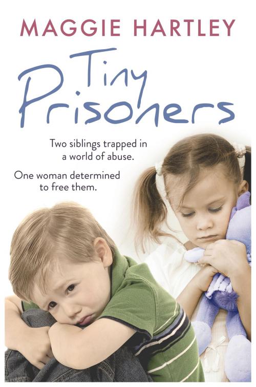 Cover of the book Tiny Prisoners by Maggie Hartley, Orion Publishing Group