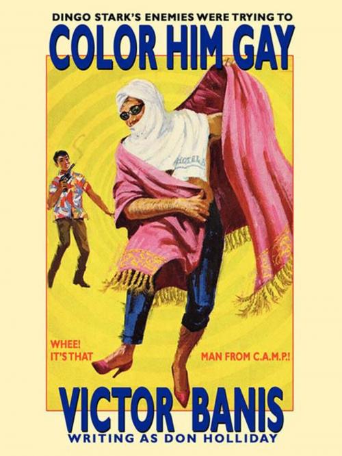 Cover of the book Color Him Gay by Victor J. Banis, Wildside Press LLC