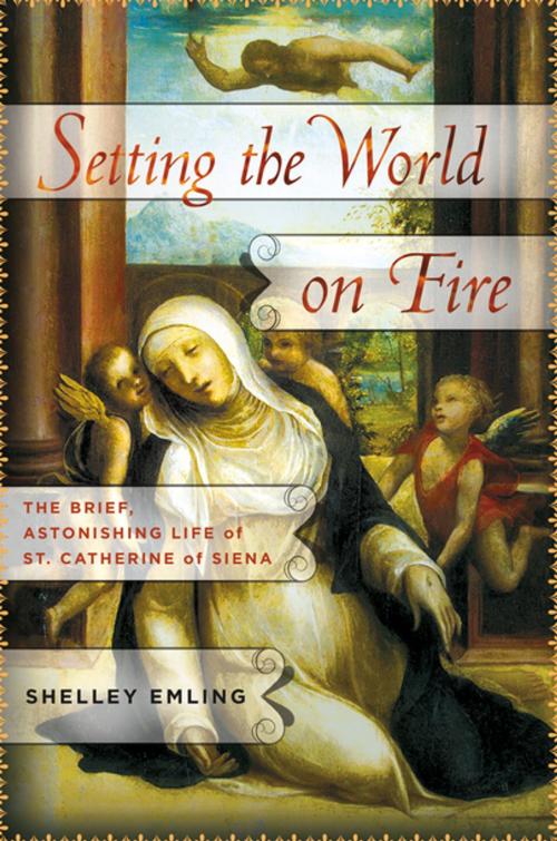 Cover of the book Setting the World on Fire by Shelley Emling, St. Martin's Press