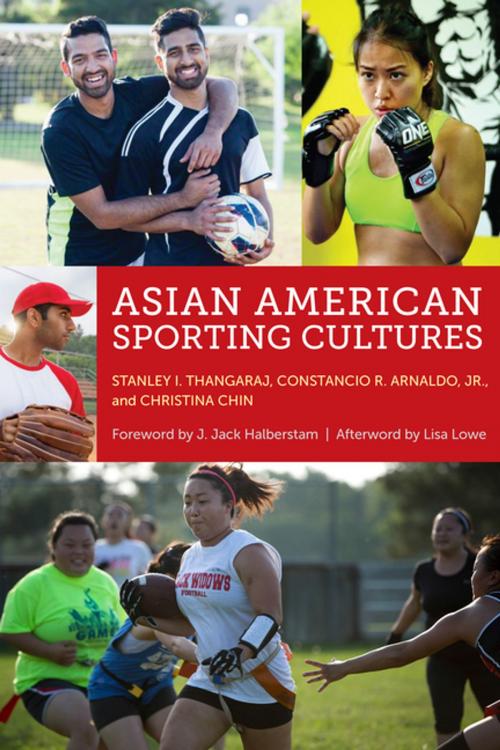 Cover of the book Asian American Sporting Cultures by Lisa Lowe, NYU Press