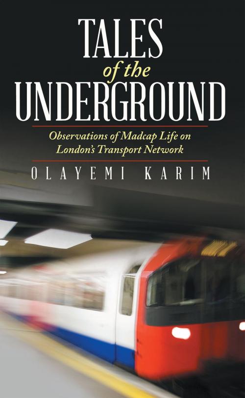 Cover of the book Tales of the Underground by Olayemi Karim, iUniverse