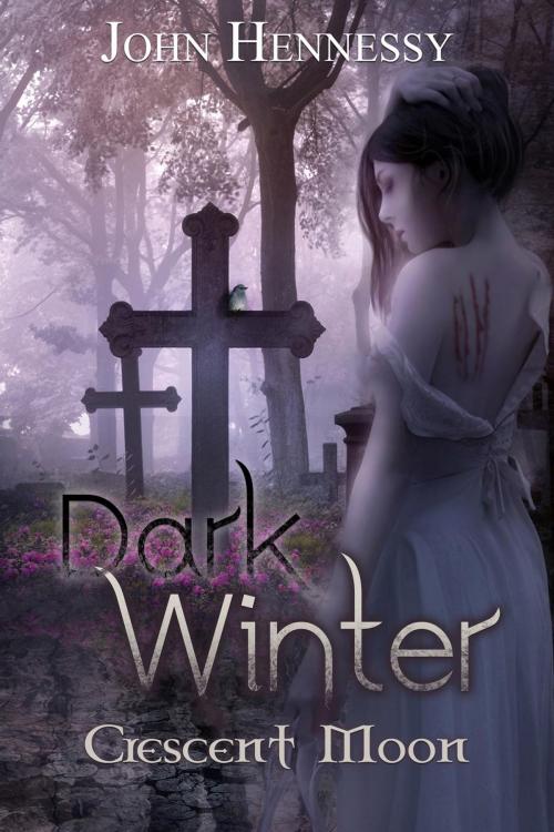 Cover of the book Dark Winter: Crescent Moon by John Hennessy, John Hennessy