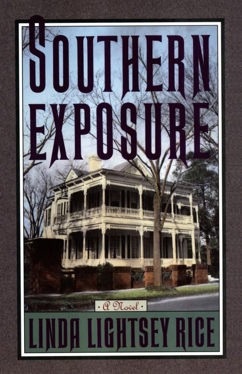 Cover of the book Southern Exposure by Linda Lightsey Rice, Open Road Distribution