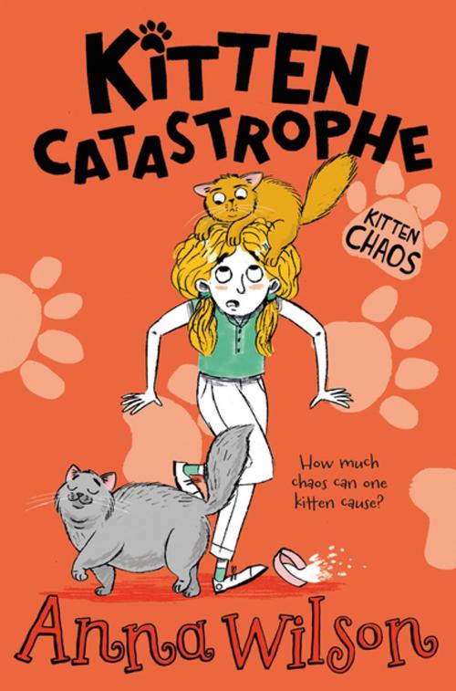 Cover of the book Kitten Catastrophe by Anna Wilson, Pan Macmillan