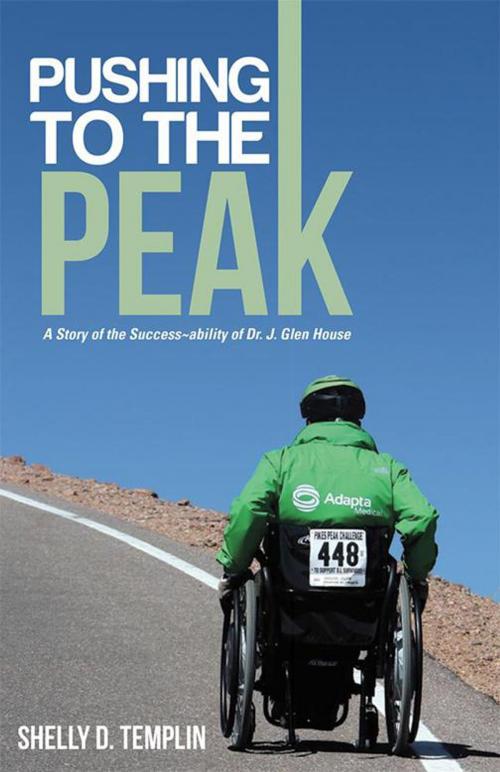 Cover of the book Pushing to the Peak by Shelly D. Templin, WestBow Press