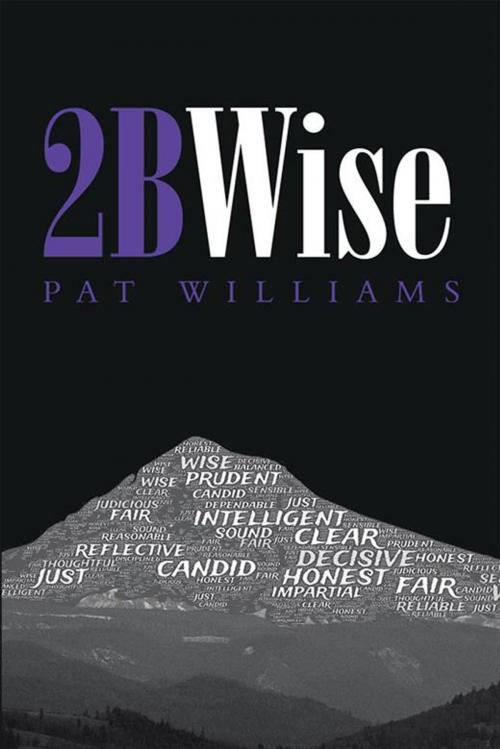 Cover of the book 2Bwise by Pat Williams, Xlibris US