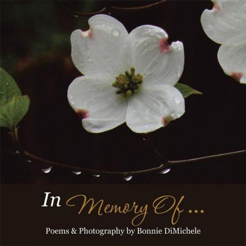 Cover of the book In Memory of . . . by Bonnie DiMichele, AuthorHouse