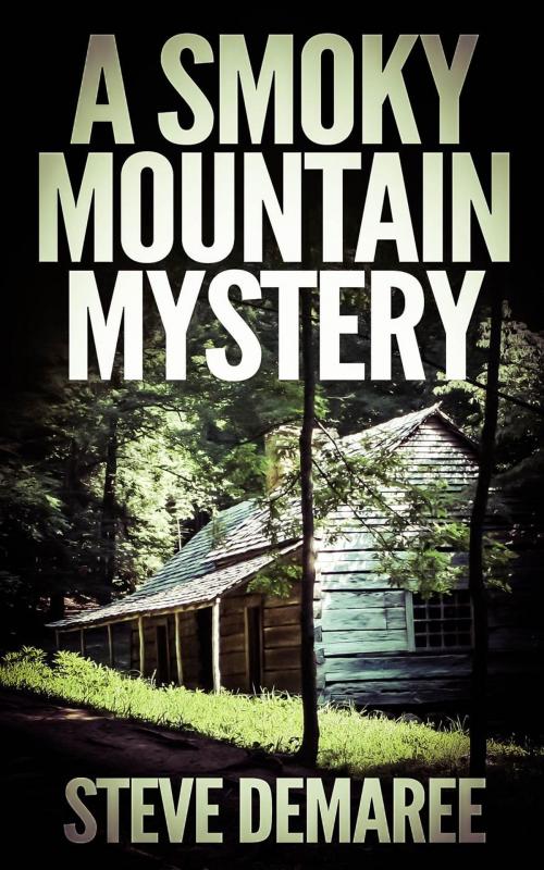 Cover of the book A Smoky Mountain Mystery by Steve Demaree, Steve Demaree