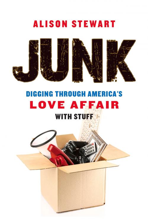 Cover of the book Junk by Alison Stewart, Chicago Review Press