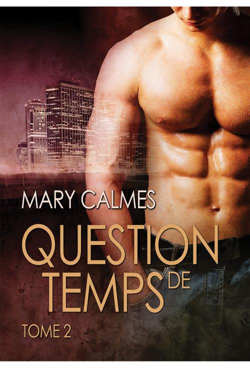 Cover of the book Question de temps, tome 2 by Mary Calmes, Dreamspinner Press