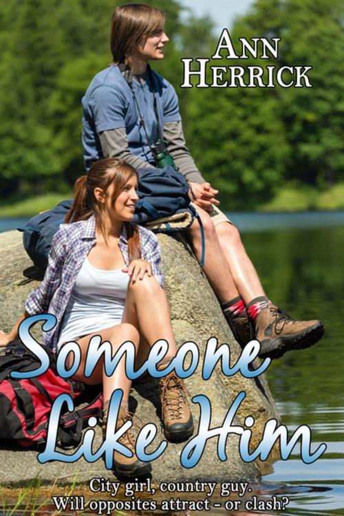 Cover of the book Someone Like Him by Ann Herrick, BWL Publishing Inc.