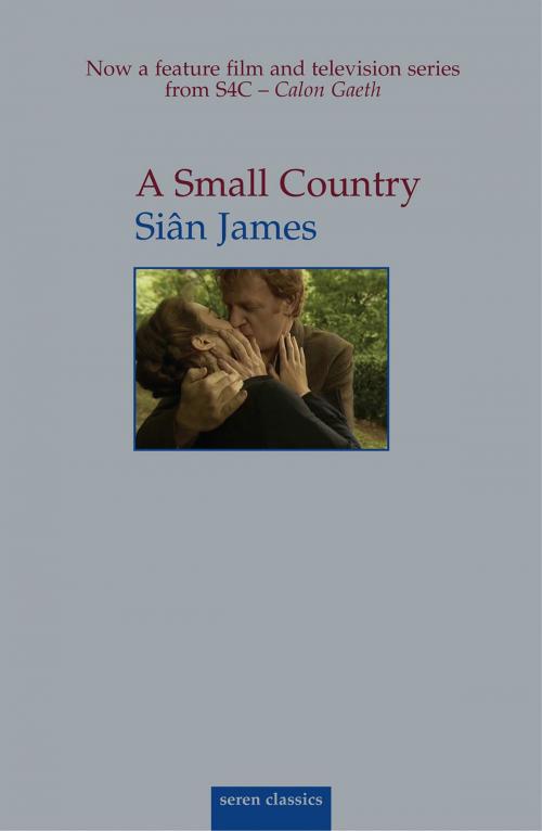 Cover of the book Small Country by Siân James, Seren