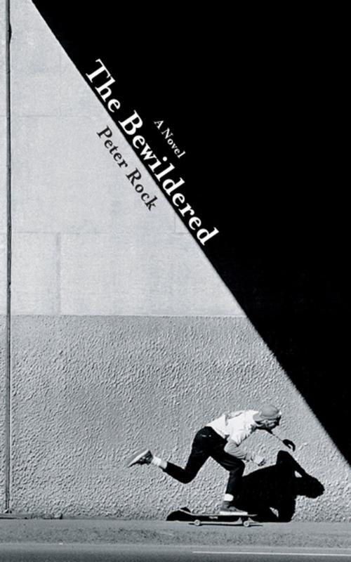 Cover of the book The Bewildered by Peter Rock, Counterpoint