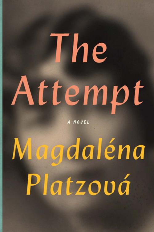 Cover of the book The Attempt by Magdaléna Platzová, Bellevue Literary Press