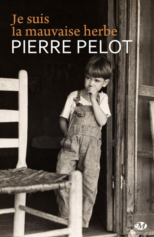 Cover of the book Je suis la mauvaise herbe by Pierre Pelot, Milady