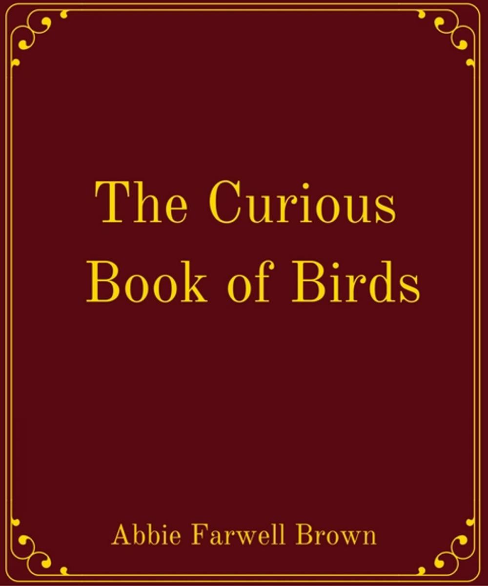 Big bigCover of The Curious Book of Birds