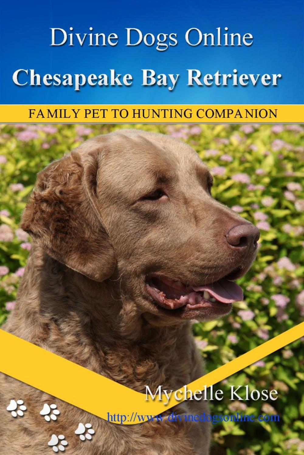 Big bigCover of Chesapeake Bay Retriever