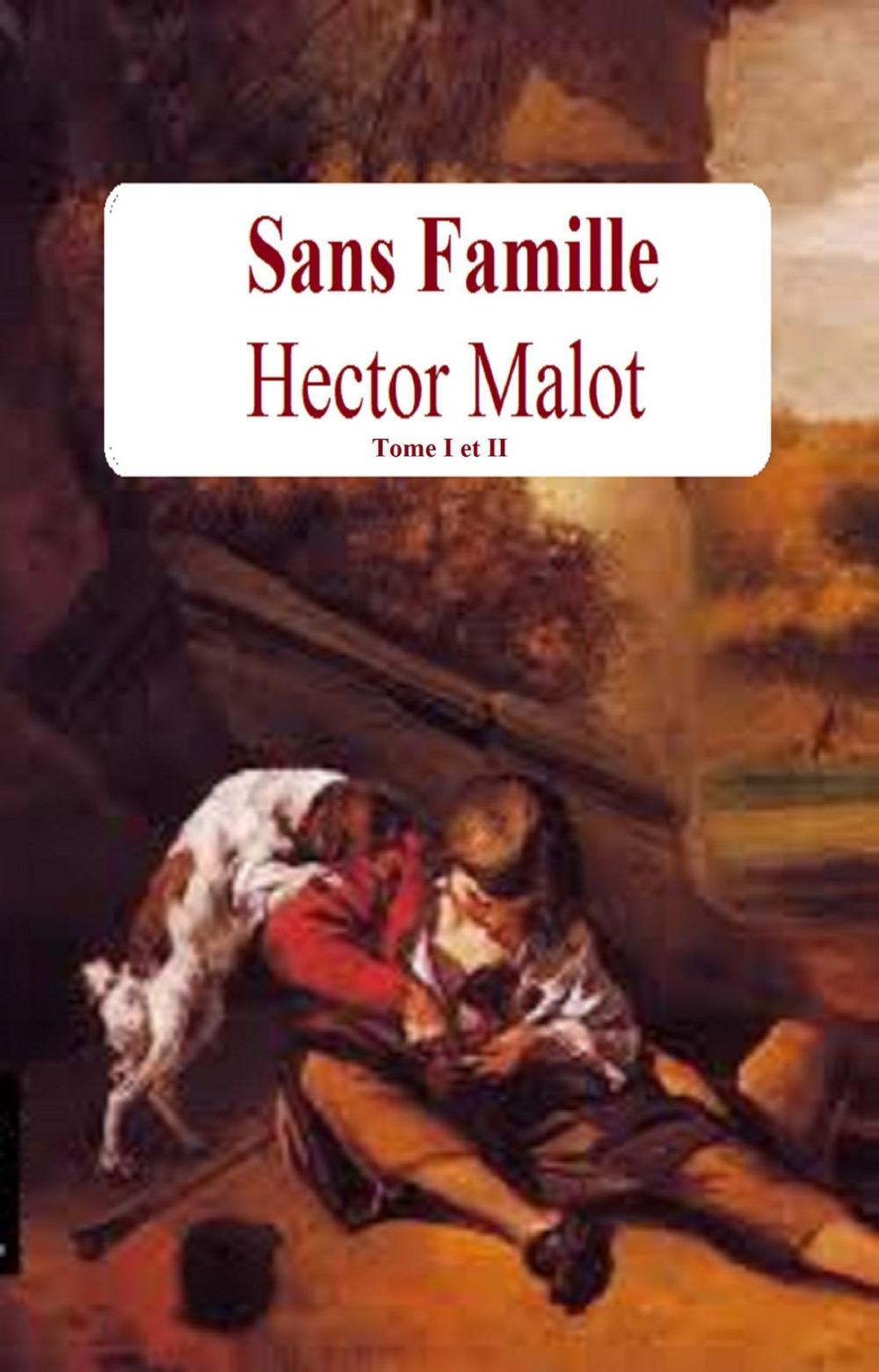 Big bigCover of Sans Famille Tome I et II