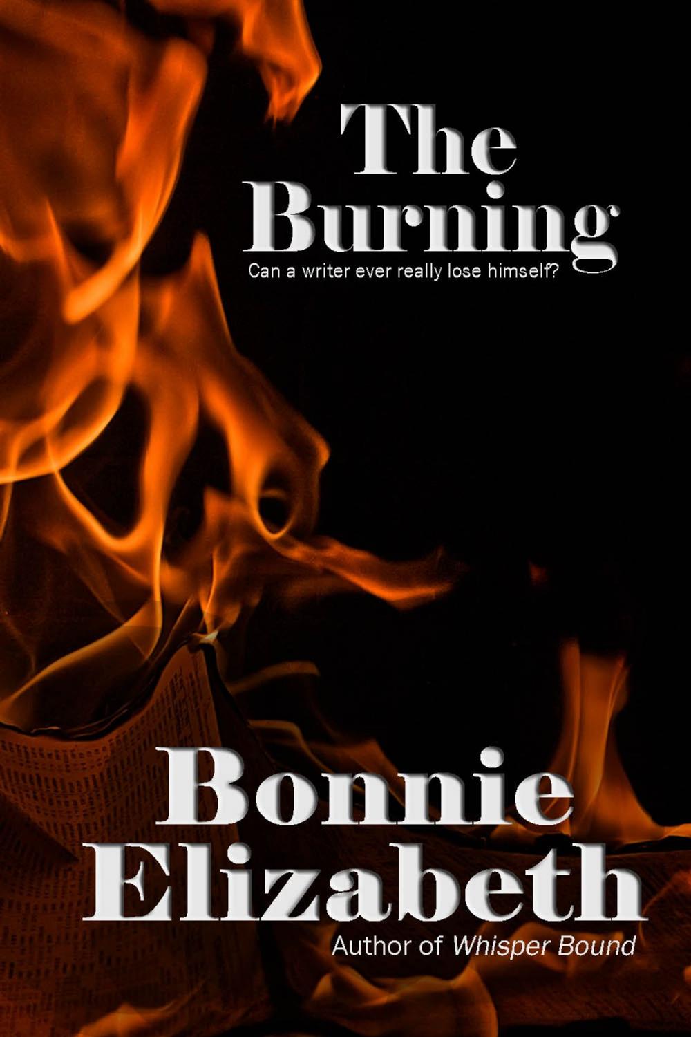 Big bigCover of The Burning