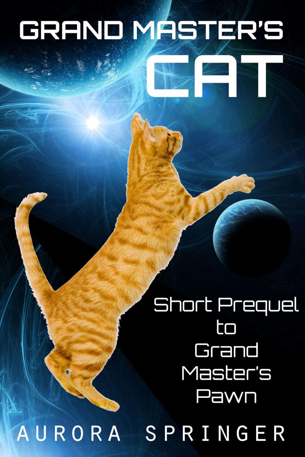 Big bigCover of Grand Master's Cat