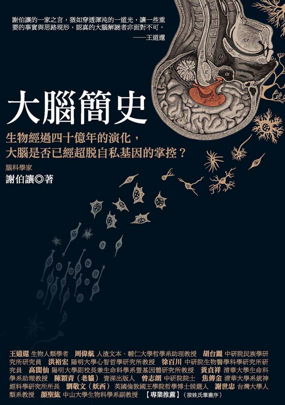 Big bigCover of 大腦簡史：生物經過四十億年的演化，大腦是否已經超脫自私基因的掌控？