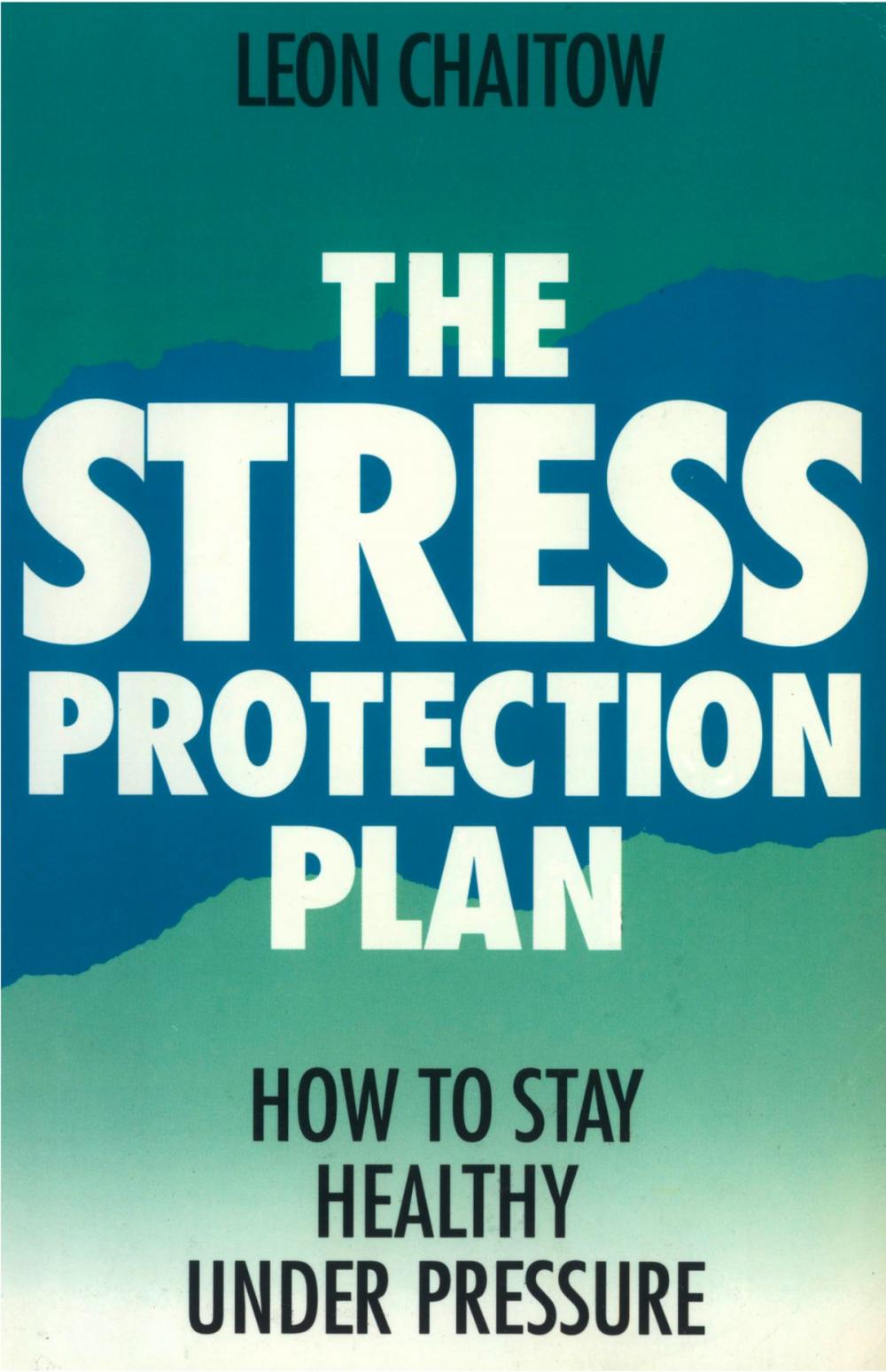 Big bigCover of The Stress Protection Plan