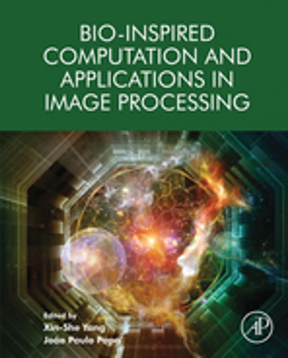 Big bigCover of Bio-Inspired Computation and Applications in Image Processing