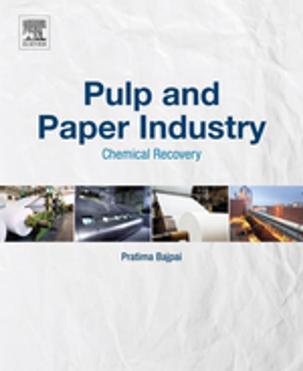 Big bigCover of Pulp and Paper Industry