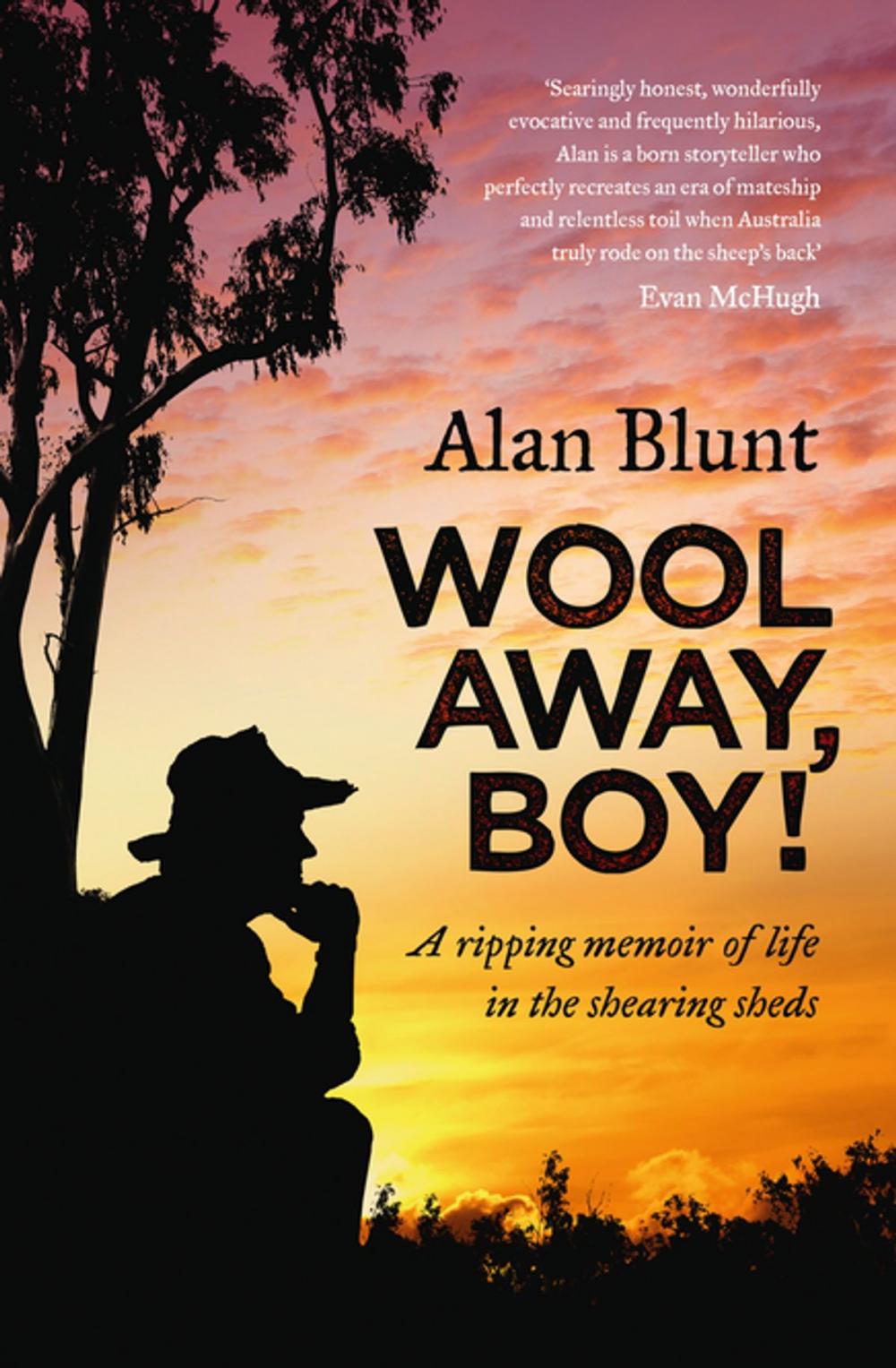 Big bigCover of Wool Away, Boy!