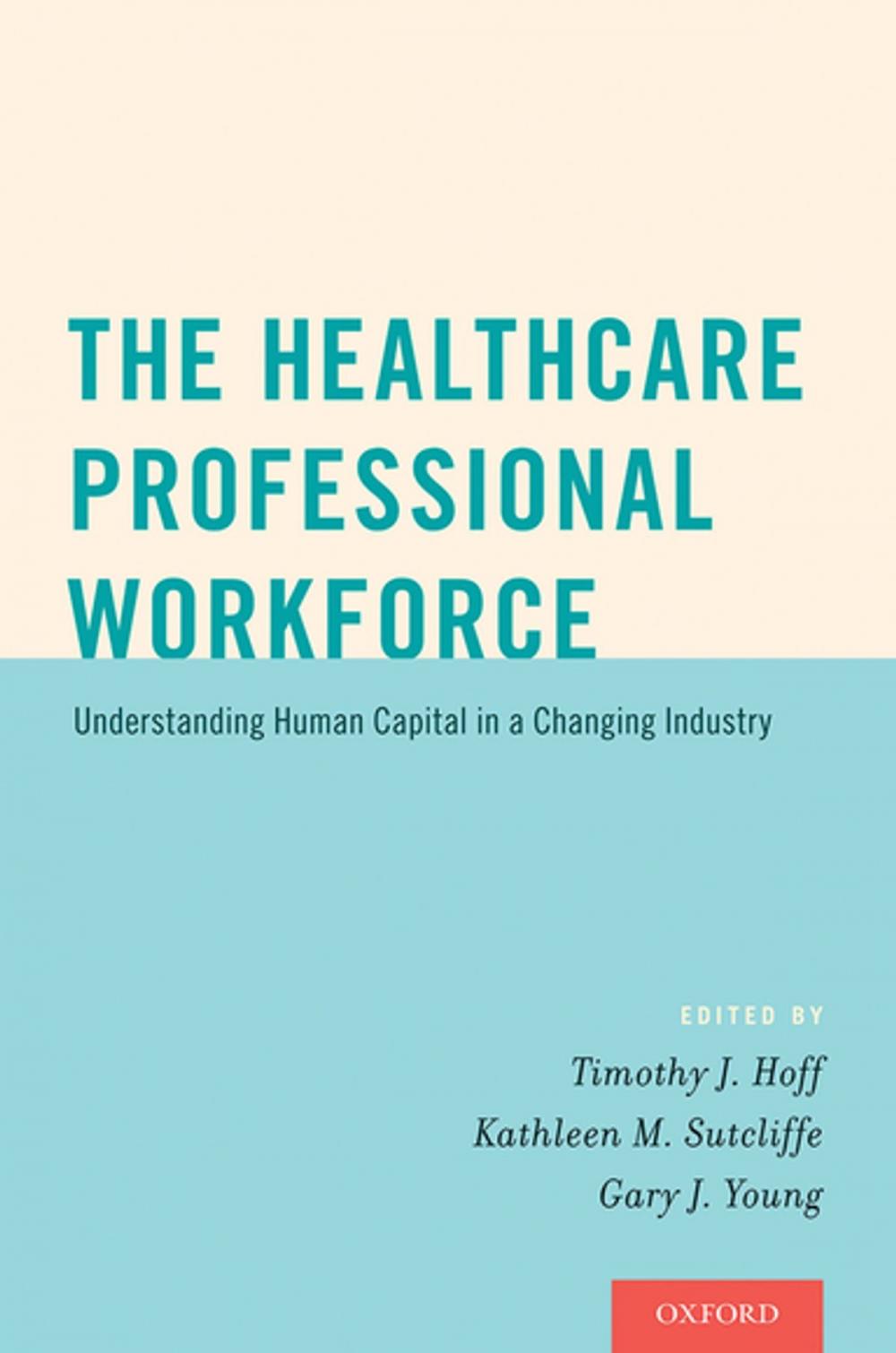 Big bigCover of The Healthcare Professional Workforce