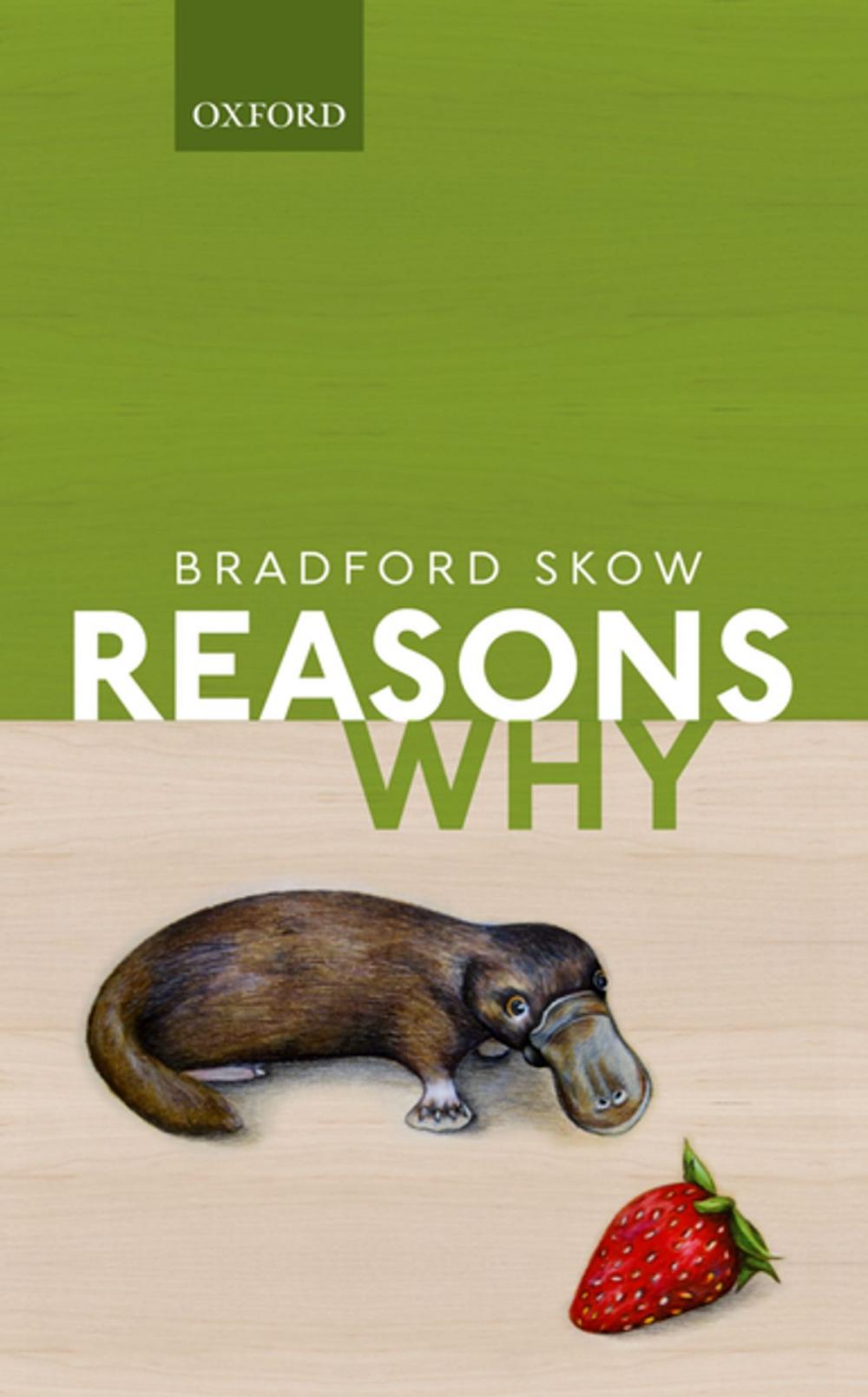 Big bigCover of Reasons Why