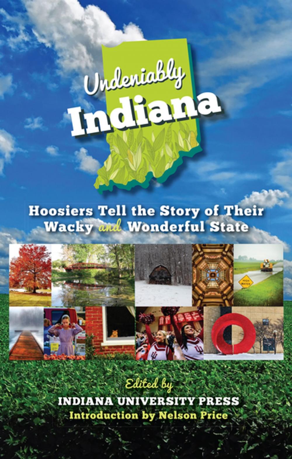 Big bigCover of Undeniably Indiana