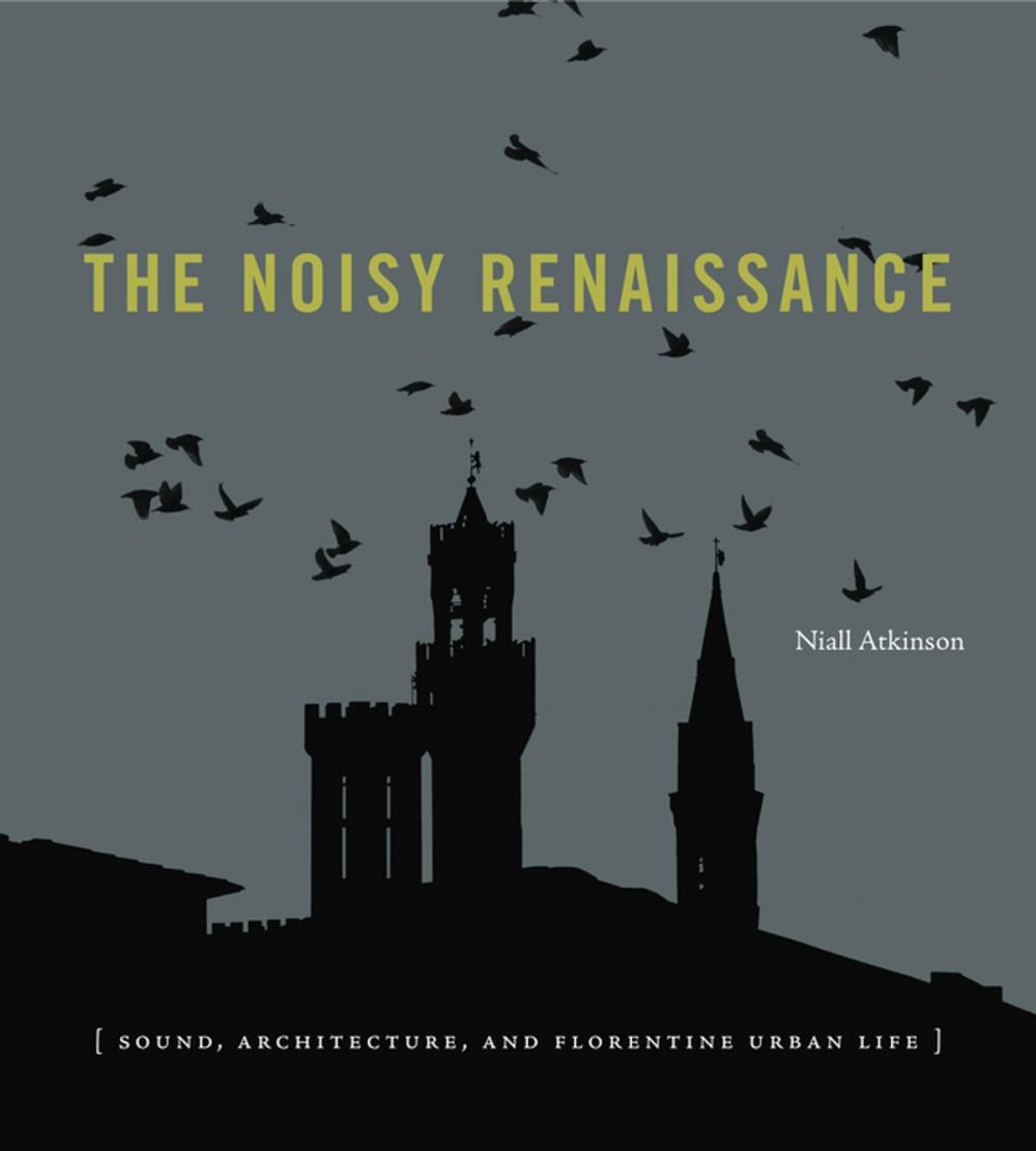 Big bigCover of The Noisy Renaissance