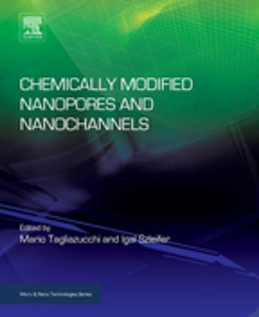 Big bigCover of Chemically Modified Nanopores and Nanochannels