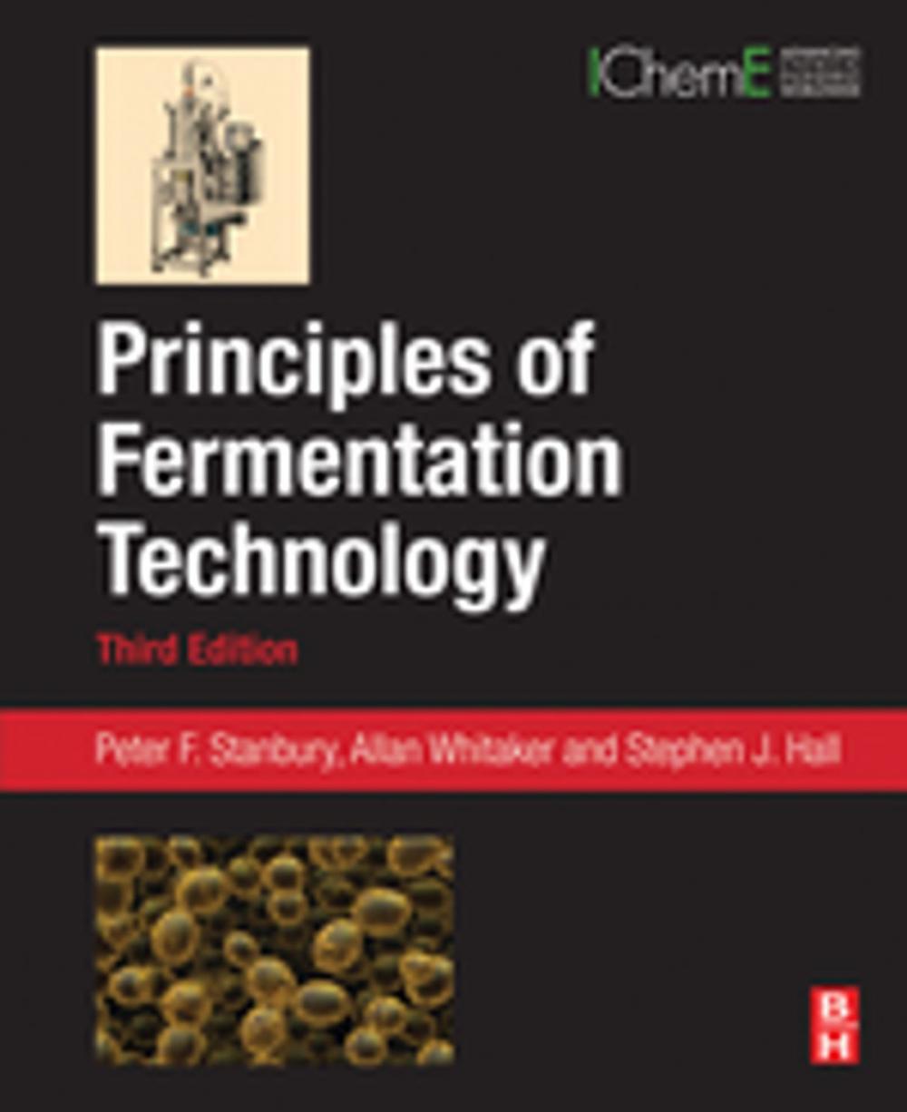 Big bigCover of Principles of Fermentation Technology