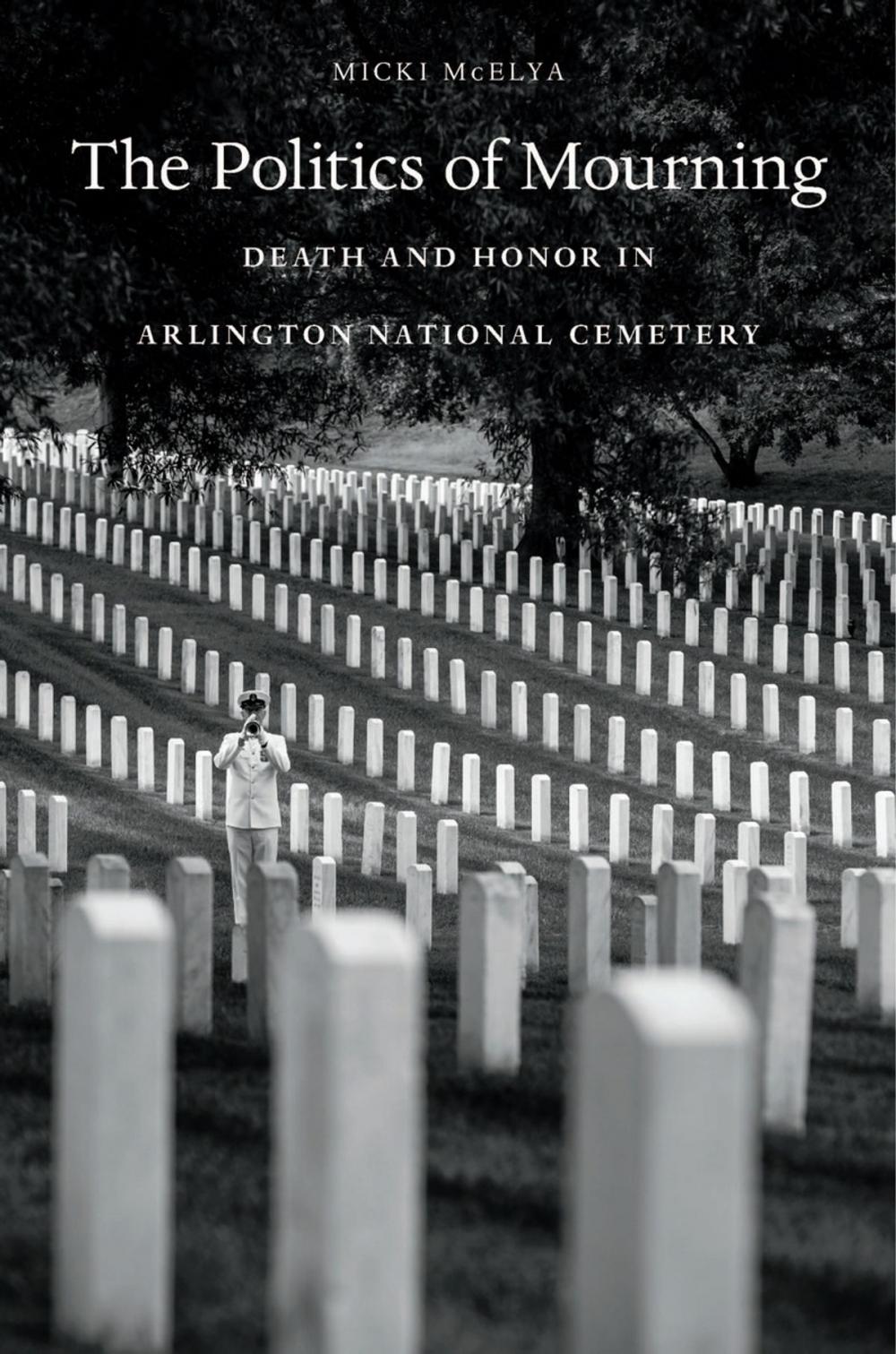 Big bigCover of The Politics of Mourning