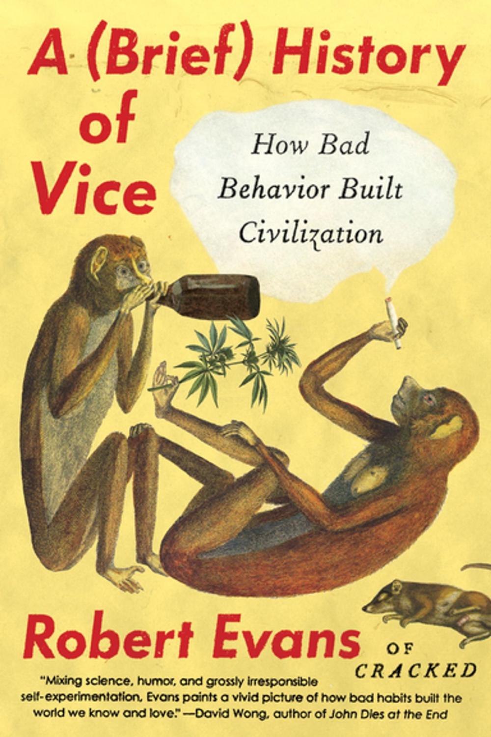 Big bigCover of A Brief History of Vice